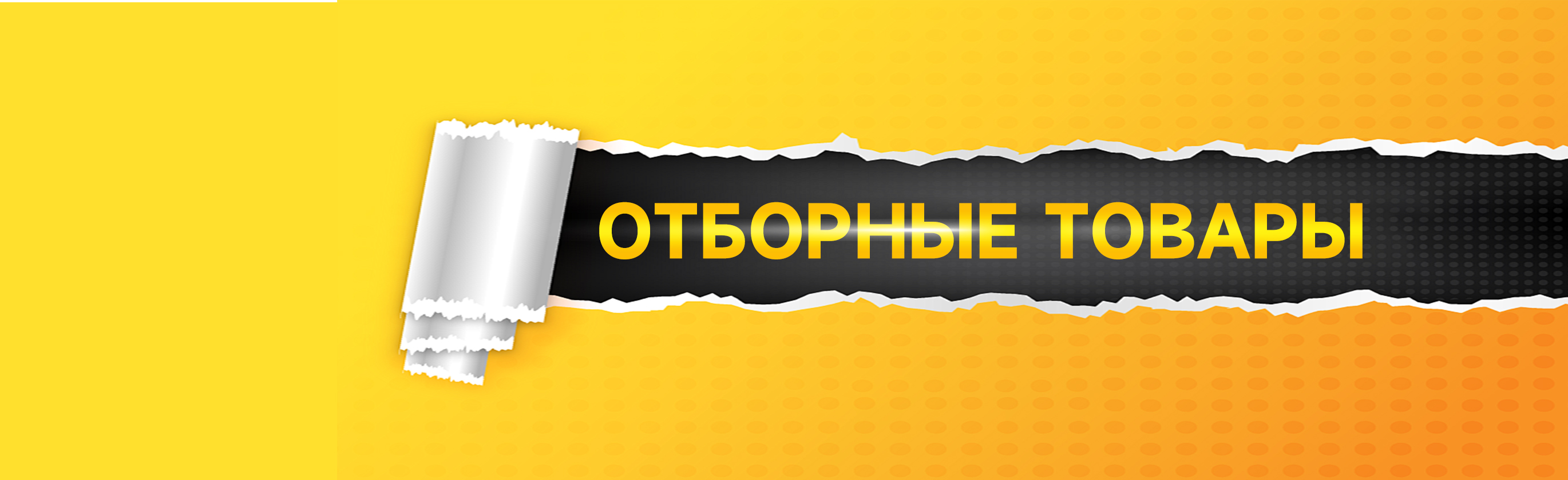 Cashines AI Empowerment promo