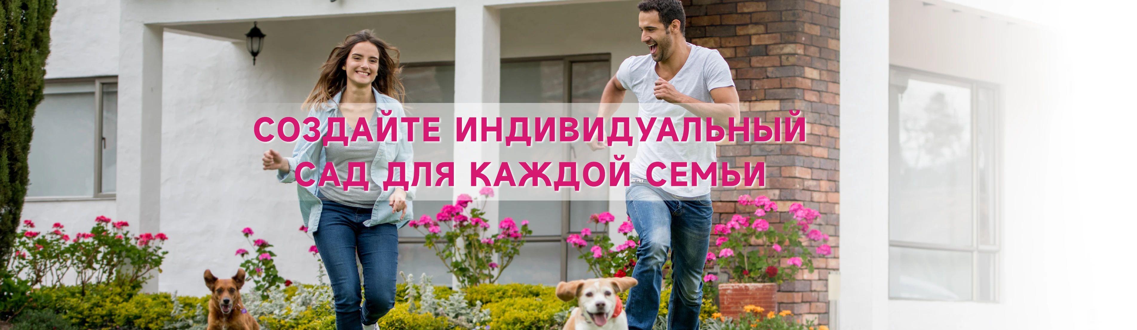 Cashines AI Empowerment promo